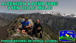 27 K  Ascensión Peña Subes y Sen de los Mulos Parque Natural de Ponga Asturias [upl. by Carin]