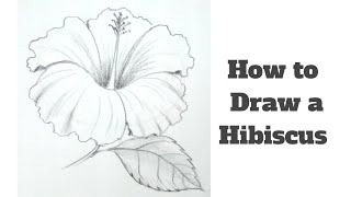 How to draw a hibiscus flower step by step for kids [upl. by Liv783]