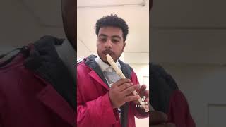 Altaj flute recorder beatbox  baby stop  official video [upl. by Tremml]