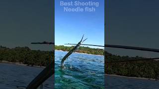 Needlefish Spearfishing  best shot  Spearfishing Phillipines [upl. by Eirellam]