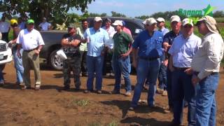 Banpro TV  Productores de León y Chinandega con ejecutivos de Banpro [upl. by Drucill368]