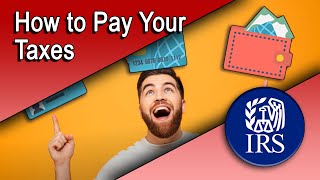 How to Pay Your Taxes [upl. by Elttil]