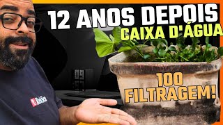 CRIAÃ‡ÃƒO DE PEIXES EM CASA NA CAIXA DAGUA SEM FILTRAGEM E COM PLANTAS [upl. by Perkins]