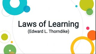 Primary and Secondary Laws of Learning with examples Edward L Thorndike PsychologyUrduHindi [upl. by Arahahs]