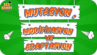 Mutasyon Modifikasyon Adaptasyon  LGS Fen 2022 [upl. by Robertson791]