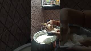 VANI makes  Paal pongal Recipe in tamil  Milk pongal and ginger Pachadi Thuvayal 👍👍👍👍👍 [upl. by Socrates66]