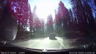 35 Driving in California Oakhurst to Yosemite [upl. by Quitt]