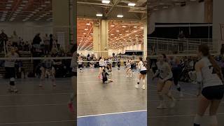 Great Volleyball Rally from the AVC libero delaneymoon shorts [upl. by Adran661]