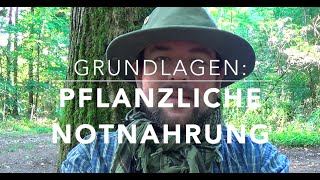 Grundlagen pflanzlicher Notnahrung [upl. by Nagud831]