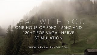 One Hour Solfeggio Frequencies For Vagal Nerve Stimulation  30Hz 160Hz and 120Hz [upl. by Atinej]