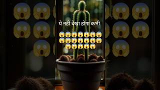 ये नही देखा होगा कभी 😱😱 explore trending newvideo viralreels ytshort funnyshorts uniquedance [upl. by Hillhouse122]