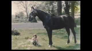 The Gray Goose  2012 Eventing Hall of Fame [upl. by Arehsat]