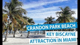 Crandon Park Beach in Key Biscayne Florida  Top Miami Attractions [upl. by Wiener953]