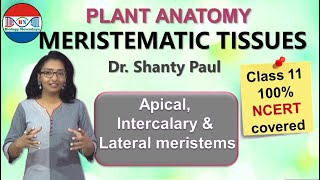 Meristematic tissues  Anatomy of flowering plants [upl. by Stein17]