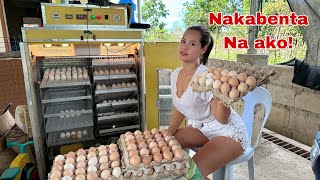 Unang Kinita ko sa Pagbenta nang Fertile Eggs nang Rhode Island Daming Orders [upl. by Maurilia293]