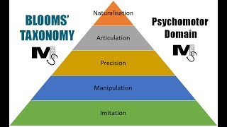 Blooms Taxonomy Psychomotor Domain  Simplest Explanation Ever [upl. by Yesllek273]