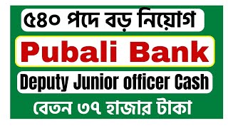 Pubali Bank New Job Circular 2024 Deputy Junior Officer Cash [upl. by Shaylyn853]