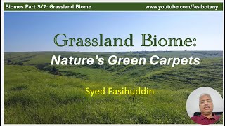 Biomes  Part 3 Grassland Biome [upl. by Namaan]