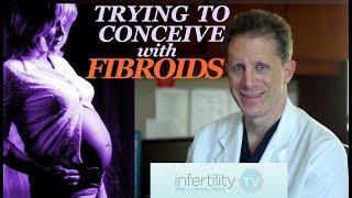 Trying to conceive with Fibroids TTC Tips to improve your fertility Dr Morris [upl. by Alioz]