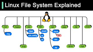 Linux File System Explained [upl. by Alexandre]