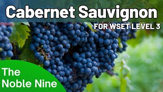 The Noble Nine  Cabernet Sauvignon For WSET Level 3 [upl. by Odelle419]