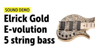 Elrick Gold Evolution 5 string bass Sound Demo no talking [upl. by Irving]