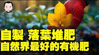 自製落葉堆肥，自然界最好的有機肥料 [upl. by Nan331]