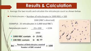 Reticulocyte count  3rd year [upl. by Adnil340]