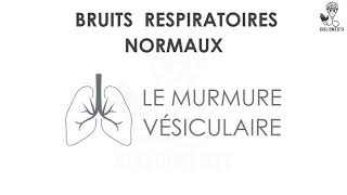 Bruits Respiratoires  Ecoutez le Murmure Vésiculaire [upl. by Moreta]