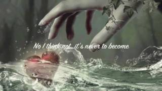 Amy Lee Sallys Song lyrics [upl. by Amles]