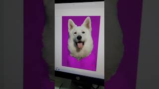 Truco en Word word office pc windows [upl. by Rebmaed]