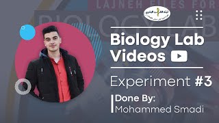 Biology LabLab 3 Macromolecules and Living Things by Mohammed Smadi [upl. by Steward]