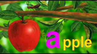 Learn the ABCs in LowerCase quotaquot is for ant and apple [upl. by Lambertson869]