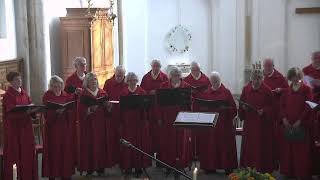 Dienst vanuit de Martinikerk in Doesburg 3 maart 2024 [upl. by Natika]