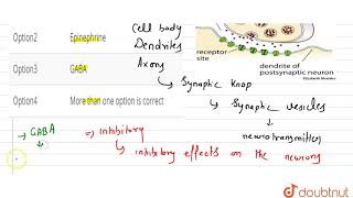 Inhibitory neurotransmitter is [upl. by Adnouqal834]