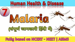 Malaria  Human Health and Disease  NEET AIIMS [upl. by Catharina]