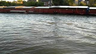 Ebbe und Flut  Gezeiten im Rhein Herne Kanal [upl. by Narib]