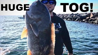 BIG TAUTOG off the Wall [upl. by Ynney]