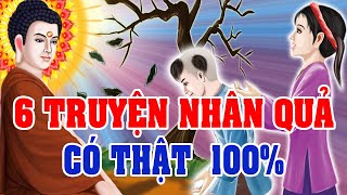 6 Truyện Nhân Quả Phật Giáo Có Thật 100 Cảnh Tỉnh Thế Nhân Ai Cũng Nên Nghe  Kể Truyện Đêm Khuya [upl. by Autrey]