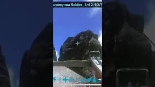 Grappling Hook Glitch  Ark Mobile [upl. by Karlow]