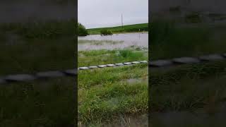 Creek got floodedflood water creek [upl. by Arodnahs987]