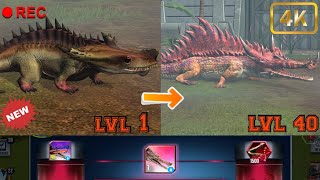 evolving DIPLOTATOR to DIPLOSUCHUS and leveling up to the max with gameplay jurassicworldthegame [upl. by Comptom]