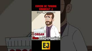 brickleberry jelenet shorts brickleberry magyar familyguy legjobb rész jelenet részek [upl. by Eiliah]