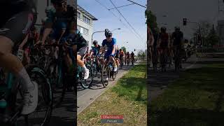 Radrennen EschbornFrankfurt  U23  bei Camp King in Oberursel am 1 Mai 2024 [upl. by Adnale]