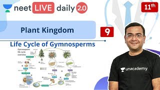 NEET Plant Kingdom  L9  Gymnosperms  Class 11  Live Daily 20  Unacademy NEET  Pradeep Sir [upl. by Dorkus]