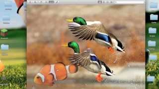 How To Do Basic quotPhotoshopquot On A Mac [upl. by Zebulon]