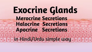 What is Exocrine gland  Merocrine Apocrine and Halocrine glands secretions In Hindiurdu [upl. by Norag609]