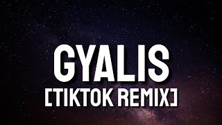 Capella Grey  Gyalis TikTok Fast Remix Lyrics  its just the vibe Im that guy [upl. by Kiran627]