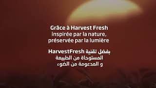 HarvestFresh by beko [upl. by Ettennyl]