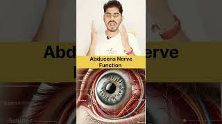 Abducens Nerve in Hindi And Function biology humanbody quiz anatomy [upl. by Grogan364]